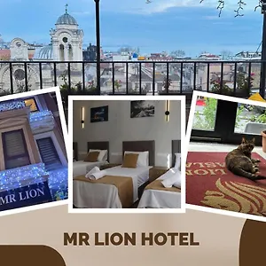 Mr Lion Kumkapı , İstanbul Türkiye